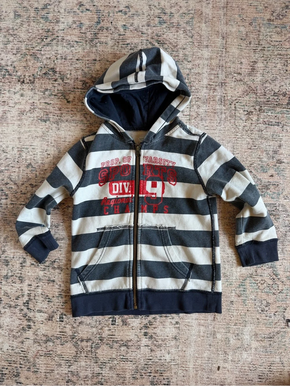 Place Boys Navy & White Striped Zip Hoodie with Red Graphic
